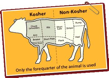 ¿Qué significa ser Kosher?   Enlace Judío