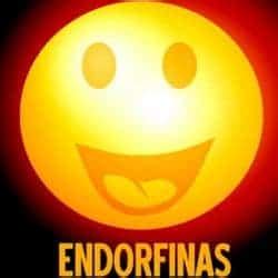 ¿Qué son las endorfinas?