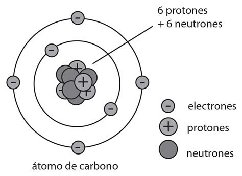 Qué son los átomo | Definición y Concepto   Educándose En ...