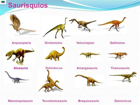 ¿Qué tipos de dinosaurios existieron? » Respuestas.tips