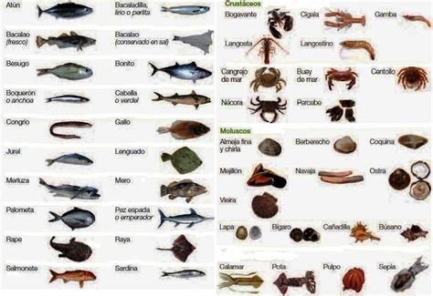 ¡Qué viva el español!: Pescado y moluscos