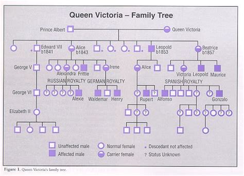 Queen Victoria and hemophilia family tree | Russia of ...