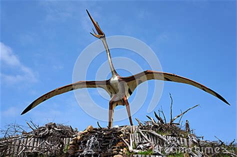 Quetzalcoatlus, Pterosaur. Model Of Dinosaur. Editorial ...