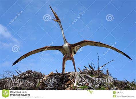 Quetzalcoatlus, Pterosaur. Model Of Dinosaur. Editorial ...