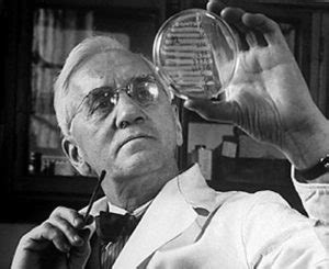 Quién descubrió la penicilina | La Guia de las Vitaminas