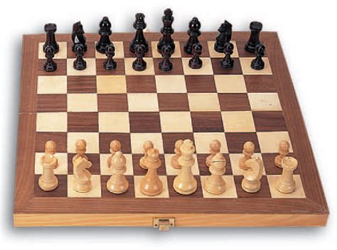 Quien inventó el ajedrez | Salutip