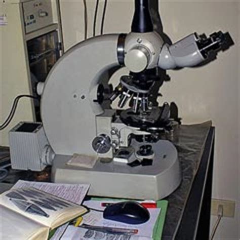 ¿Quién inventó el Primer Microscopio y en qué Año?