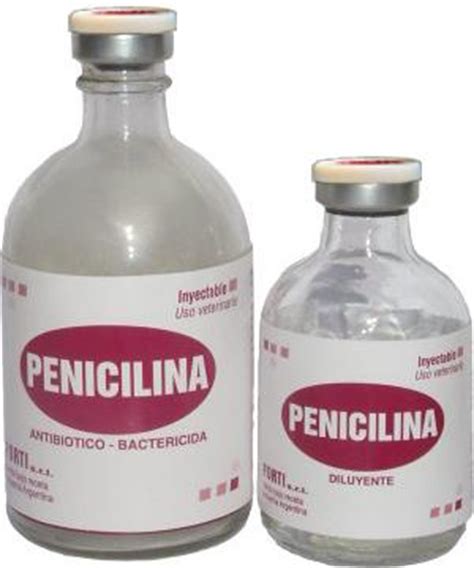 ¿Quién inventó la penicilina?