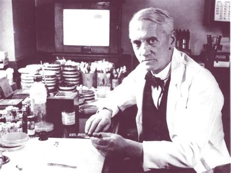 ¿Quién inventó la penicilina? | Preguntas Respuestas