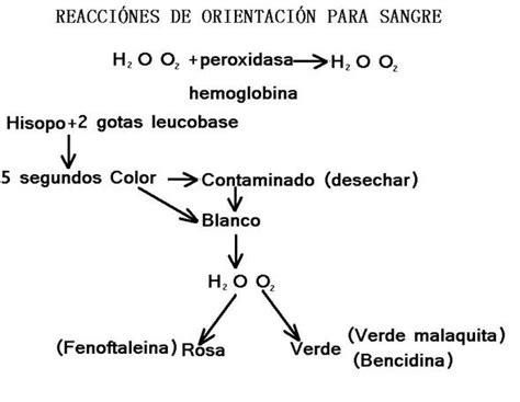 química forense | Psicologia Forense UNED