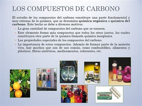 Química orgánica en la ecología   Monografias.com