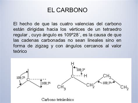 Química orgánica en la ecología  página 2    Monografias.com