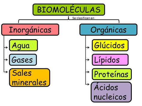 Química y Algo Más!: Las Biomoléculas y el ADN