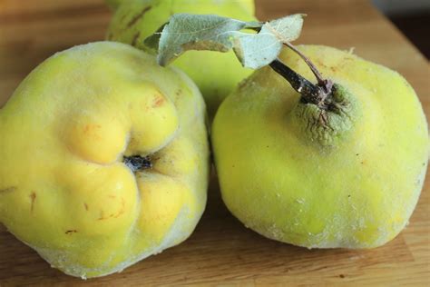 Quince paste and the giveaway winners. A natural pairing ...