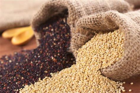 Quinoa: energia, nutrimento ed equilibrio ...