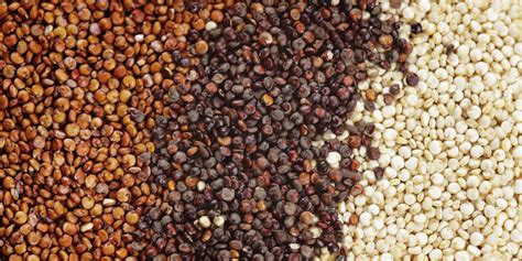 Quinoa, questa sconosciuta | Valentina Ligabue   Dietista