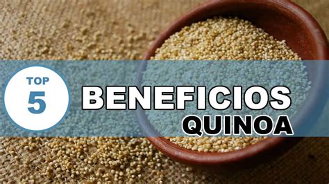 Quinoa : Todos los beneficios y Propiedades de la Quinoa ...