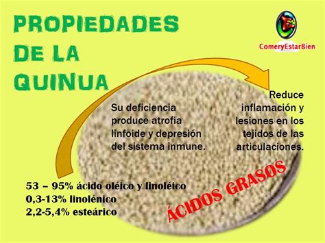 Quinua y amaranto   Propiedades y Beneficios de la Quinua ...