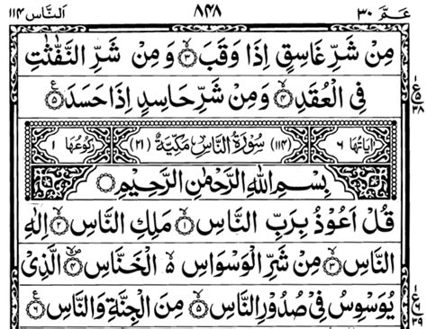Quran translation in urdu : quran pdf