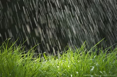 Rain falling on grass, close up | Rain | Pinterest