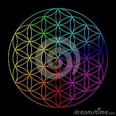 Rainbow Flower Of Life Stock Illustration   Image: 51630729