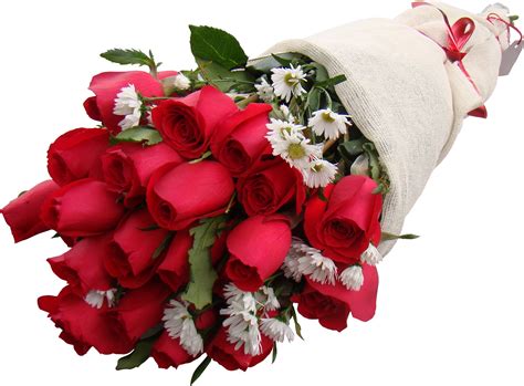 Ramo de 24 rosas rojas de Flores Toluca | Ramos de Rosas ...