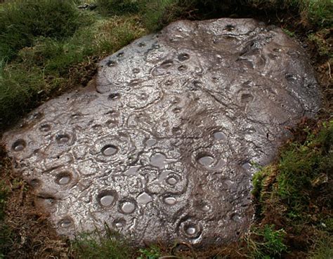 Rare Neolithic rock art discovered   Palaeontology ...