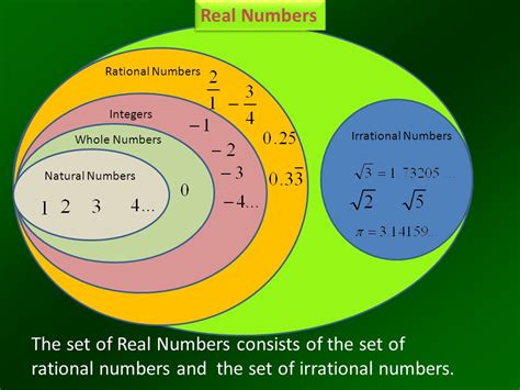 Real Numbers and The Number Line   ppt video online download