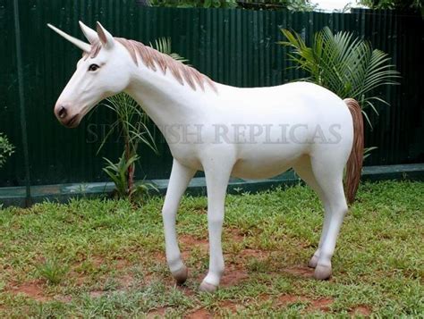 Real Unicorns Found Alive Pictures to Pin on Pinterest ...