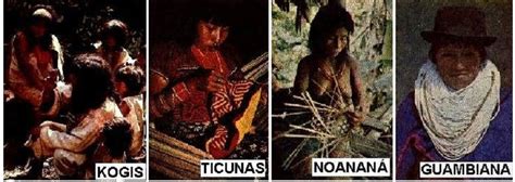 Realidad Indigena en colombia: INDÍGENAS SOBREVIVIENTES EN ...
