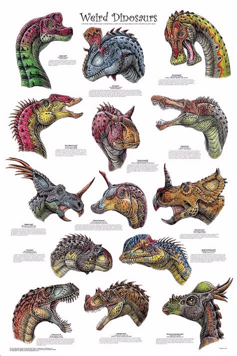Really Weird Dinosaurs