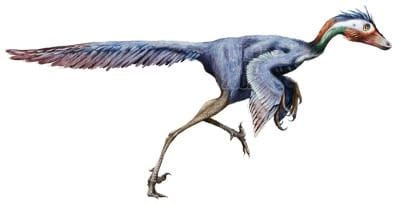 ¿Realmente los dinosaurios tenían plumas?