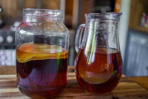 Receta para preparar el té de Kombucha | Ella Hoy