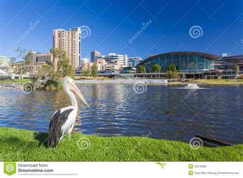 Recinto Del Riverbank De Adelaide En Sur De Australia Foto ...