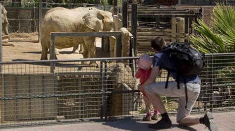 Recogida de firmas para poner fin al  colonialista  Zoo de ...