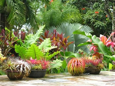 Recopilación de jardines tropicales tan bellos que ...