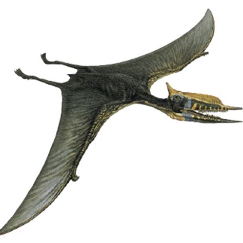 Recreación de un pterosaurio | Edición impresa | EL PAÍS