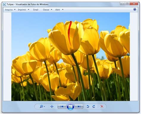 Recupera el Visualizador de fotos clásico en Windows 10 ...