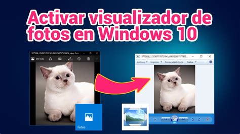 Recuperar visualizador de fotos clásico Windows 10   Taringa!