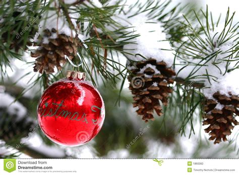 Red Christmas Decoration On Snow covered Pine Tree ...