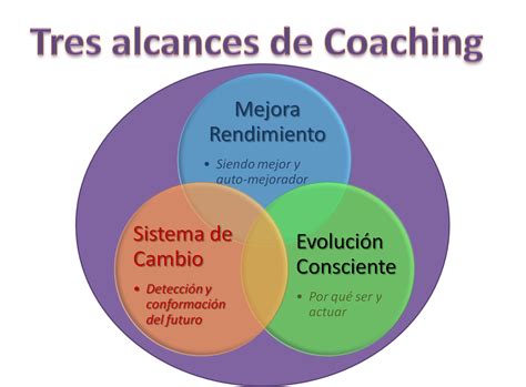 REFLEXIONA CON TU COACHE: 4/08/13   11/08/13