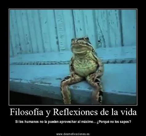 reflexiones de la vida | Imágenes