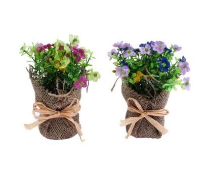 Regalar plantas como regalos originales de boda | Tienda ...