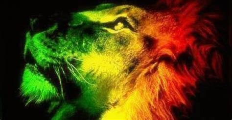 Reggae culture | About reggae music, artists, history, news..