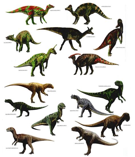 Related Keywords & Suggestions for dinosaur species