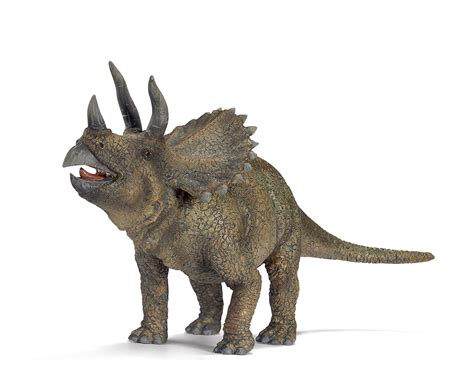 Related Keywords & Suggestions for schleich triceratops