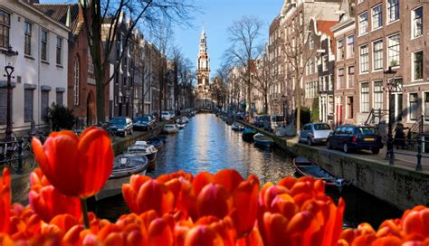 Relaxing things to do in Amsterdam – The Travel Blog by ...