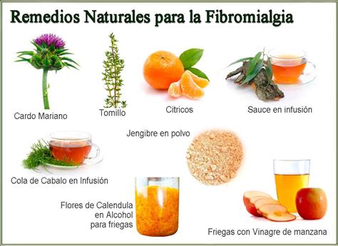 REMEDIOS NATURALES PARA LA FIBROMIALGIA | ~fibromialgia ...