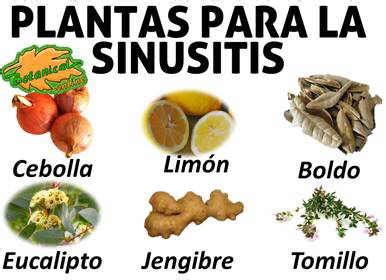 Remedios para la sinusitis