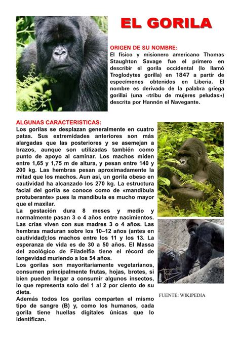 Reportaje del Gorila by Juanser Arellano Aparicio issuu
